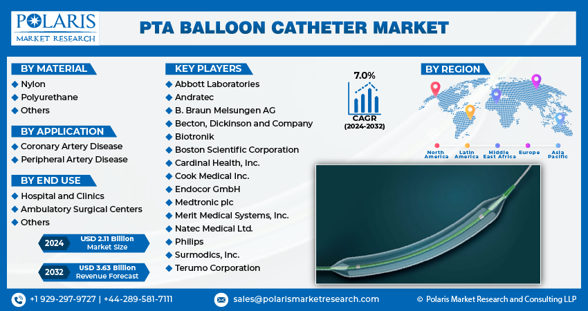 PTA Balloon Catheter Market Info